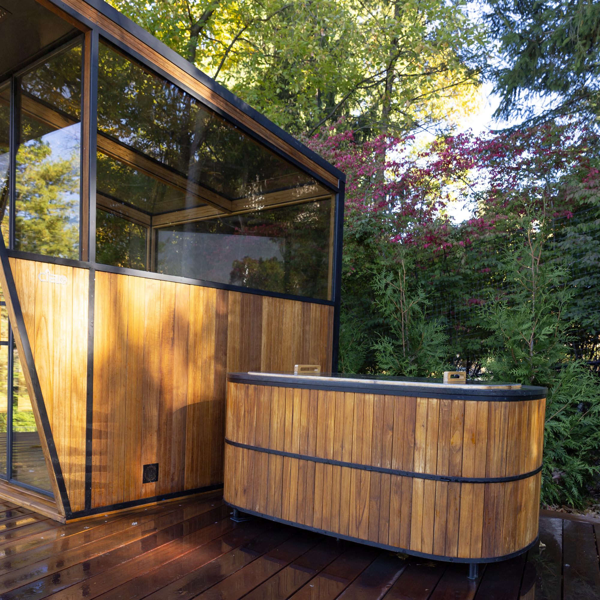 Inside a Cielo glass roof sauna, cedar benches and sky view
